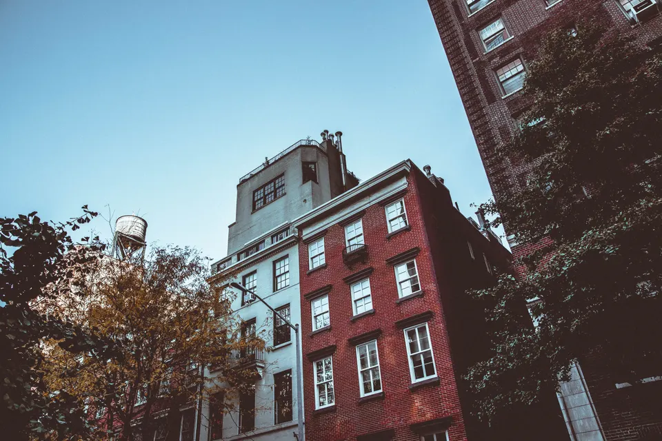 Auburn — mold removal